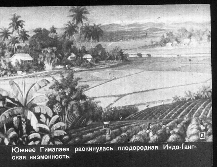 Кадр 6 диафильма «Индия»