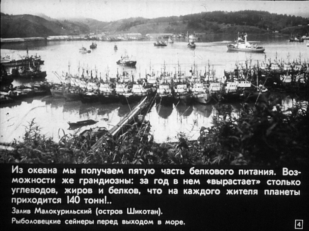 Кадр 4 диафильма «Богатства мирового океана»