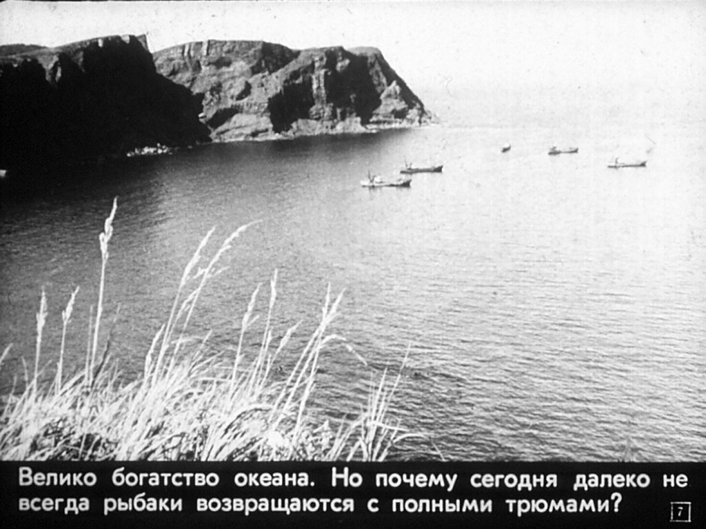 Кадр 7 диафильма «Богатства мирового океана»