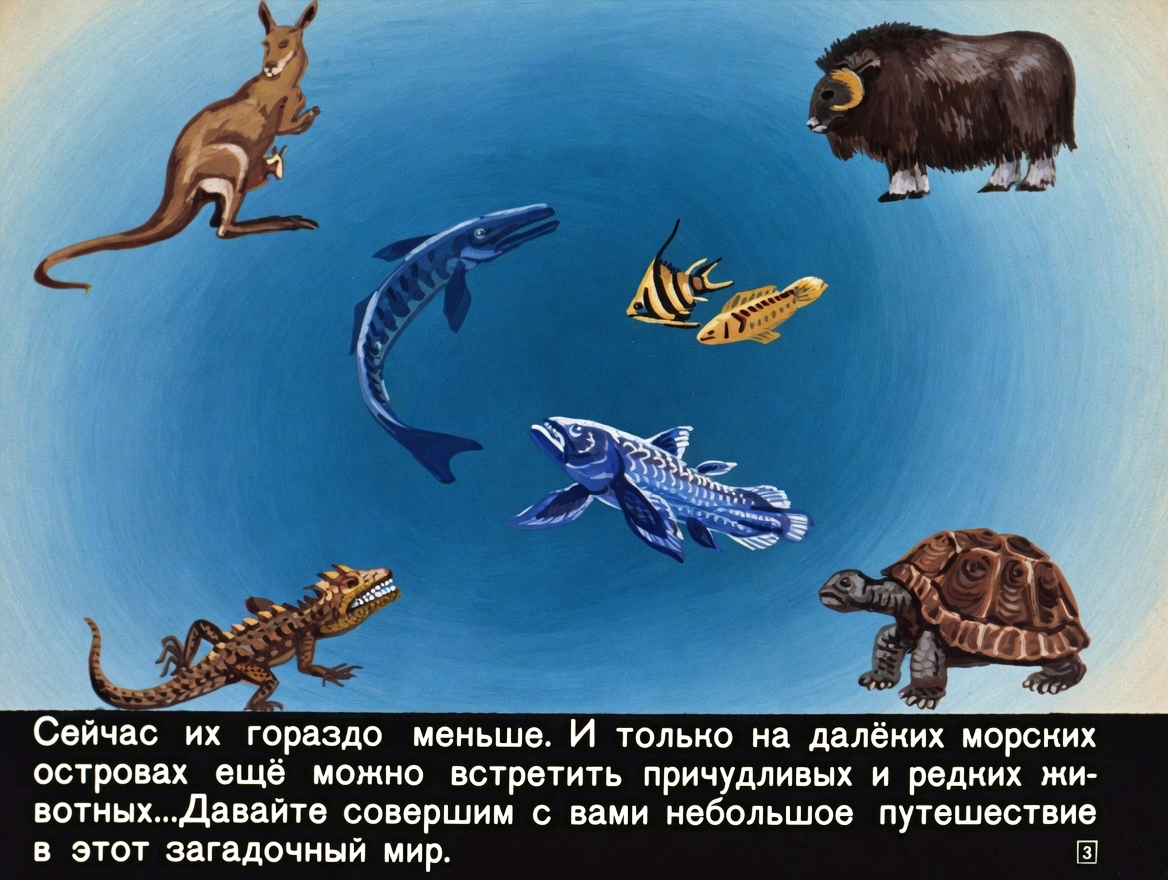 Кадр 3 диафильма «Заколдованные острова»