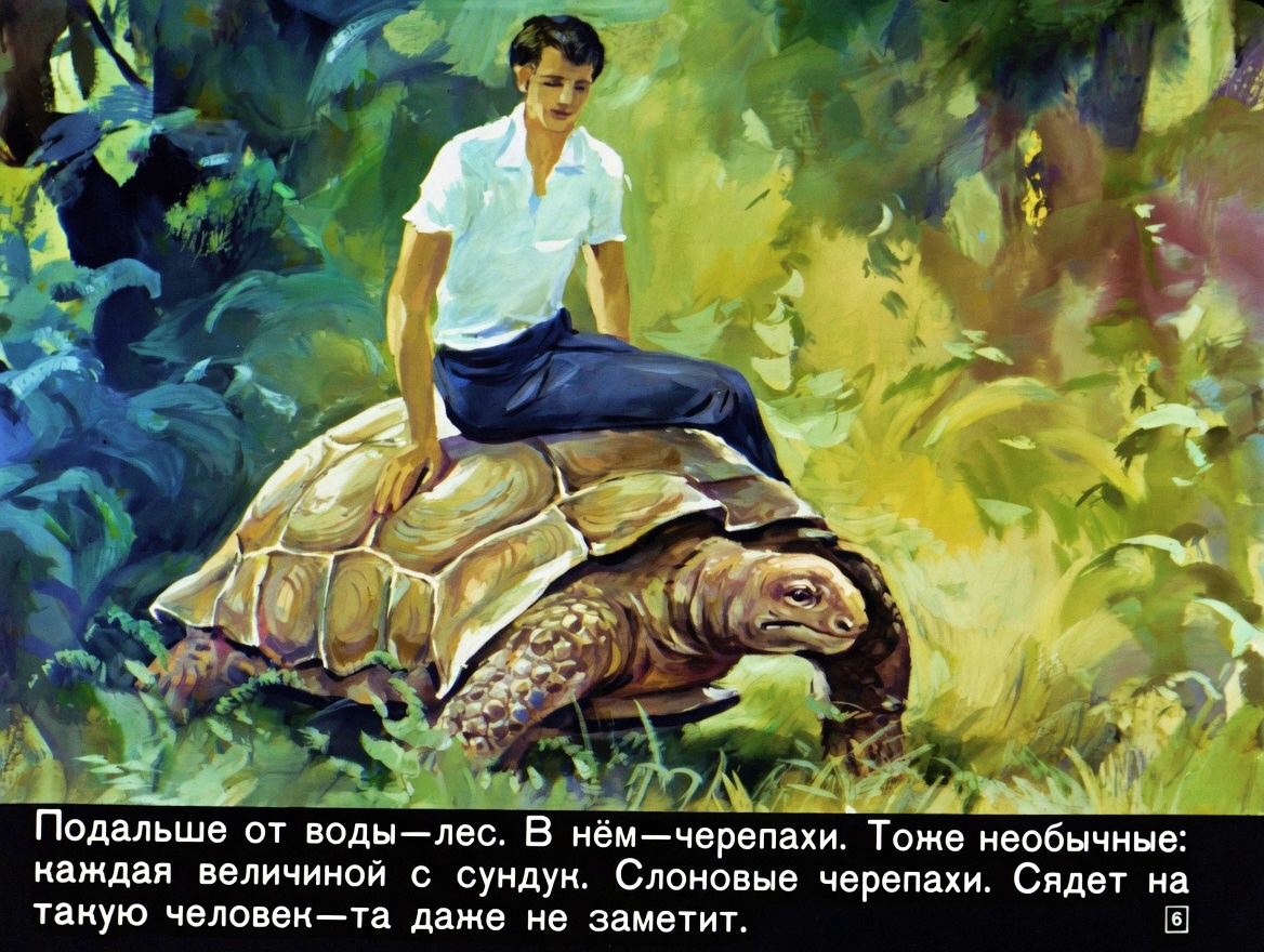 Кадр 6 диафильма «Заколдованные острова»