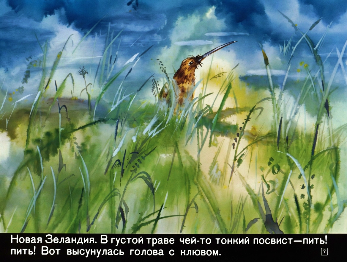 Кадр 7 диафильма «Заколдованные острова»