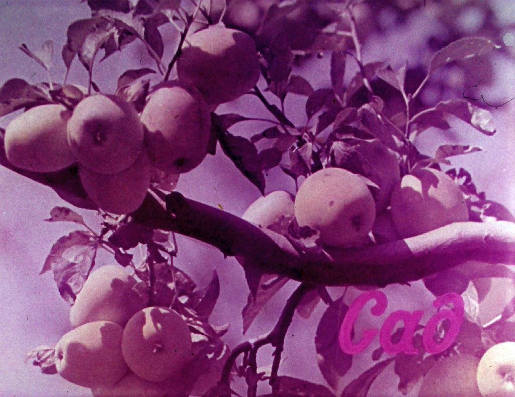 Кадр 3 диафильма «Мы - ваши друзья»