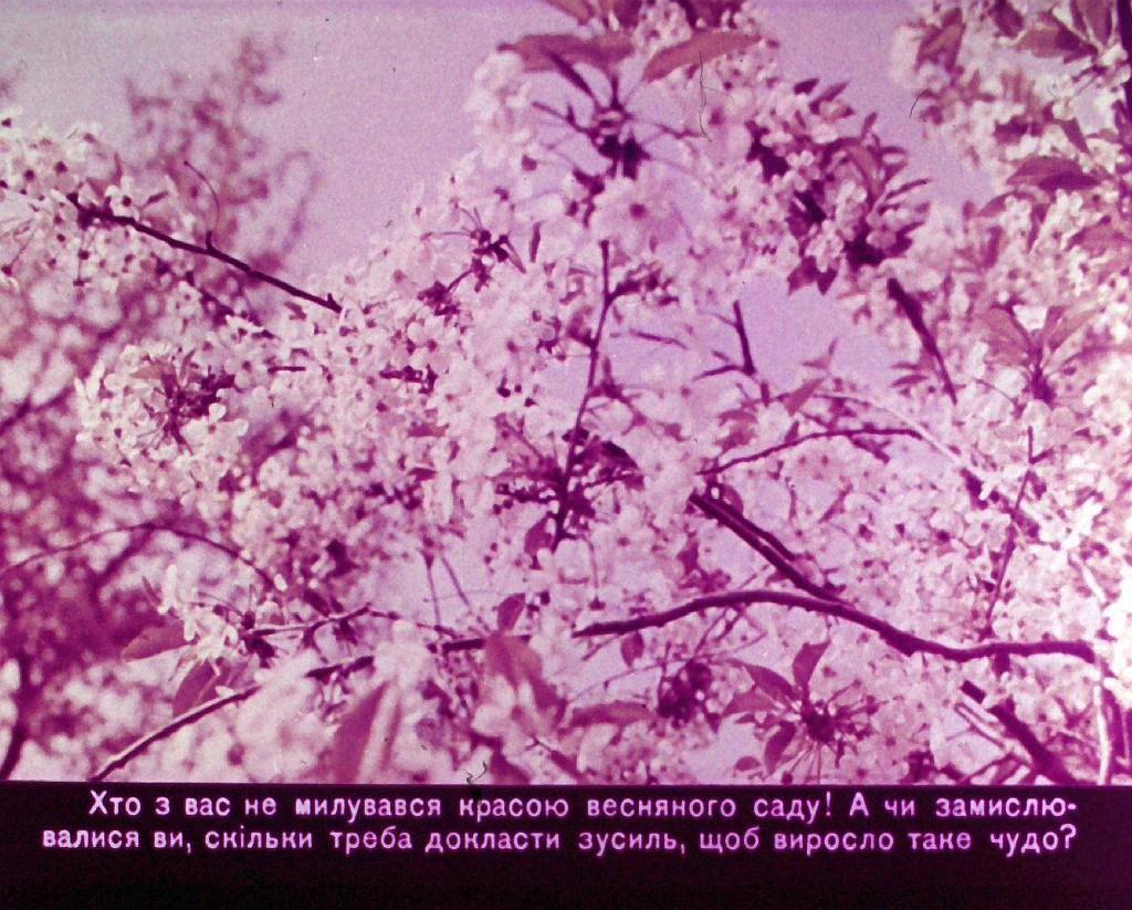 Кадр 4 диафильма «Мы - ваши друзья»
