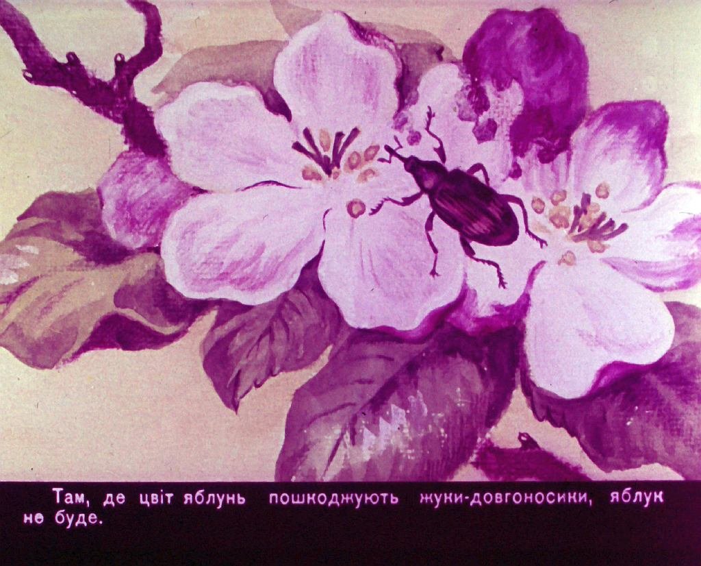 Кадр 6 диафильма «Мы - ваши друзья»