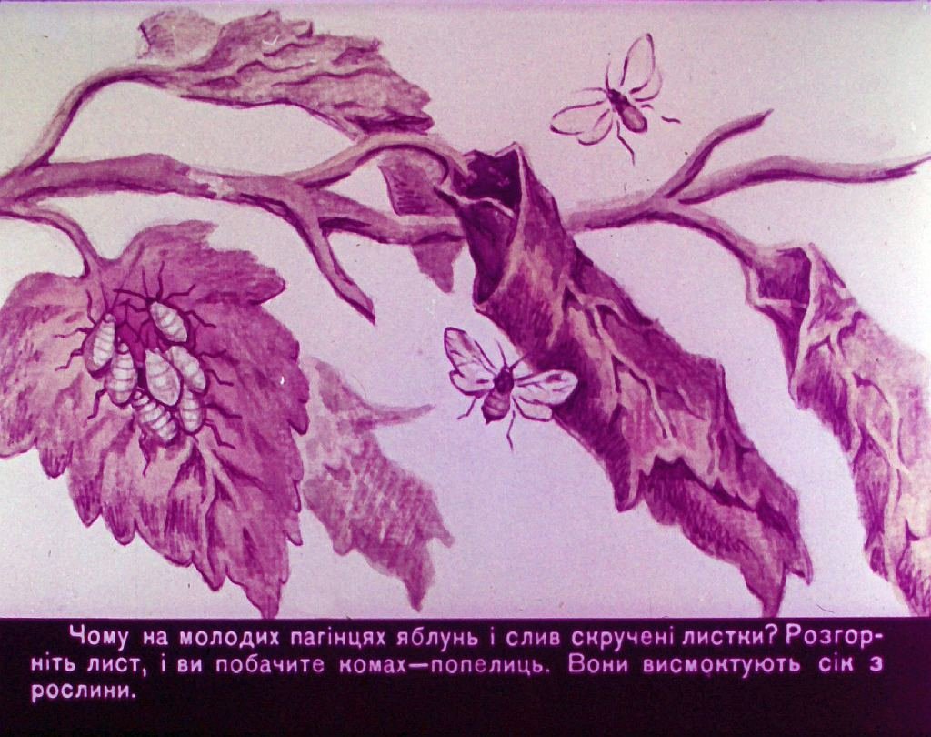 Кадр 7 диафильма «Мы - ваши друзья»
