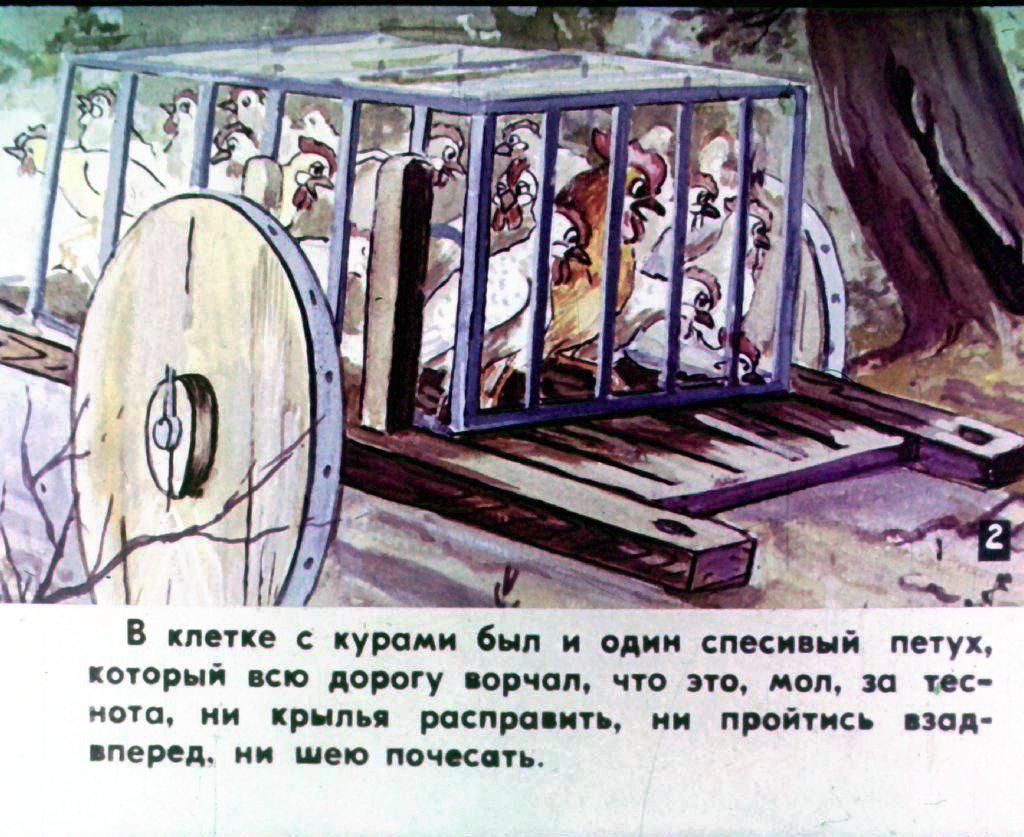 Кадр 3 диафильма «Прогулка Кукареку. Часть 1»