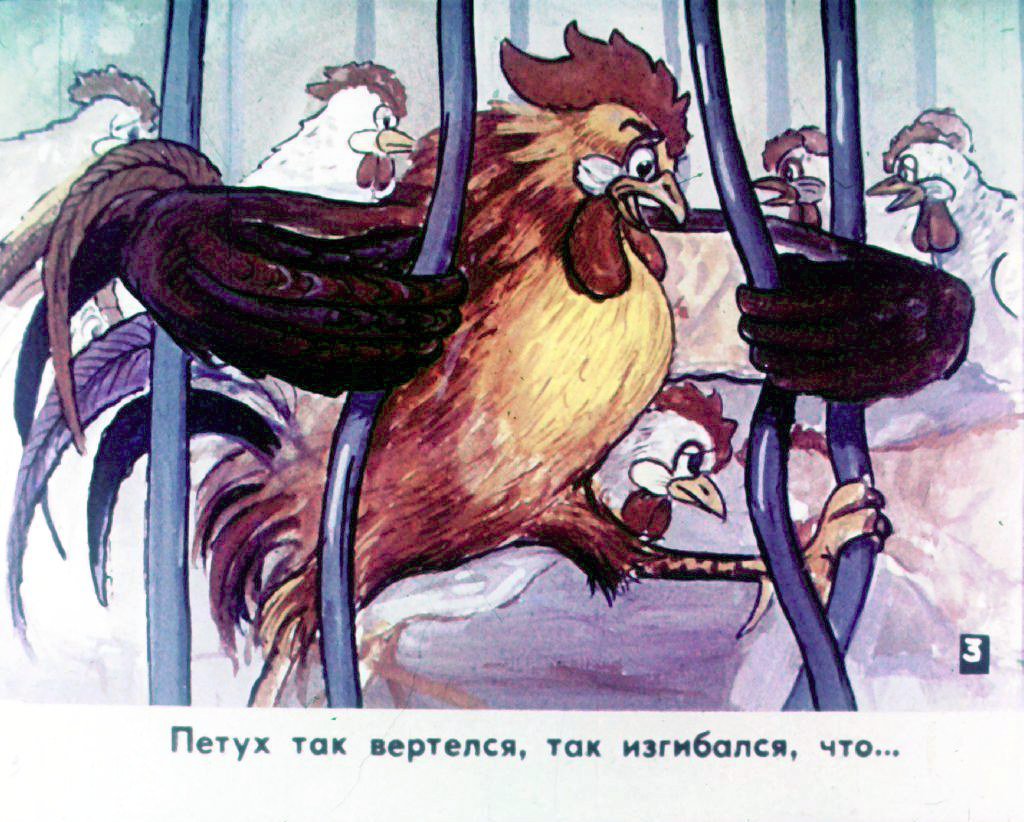 Кадр 4 диафильма «Прогулка Кукареку. Часть 1»
