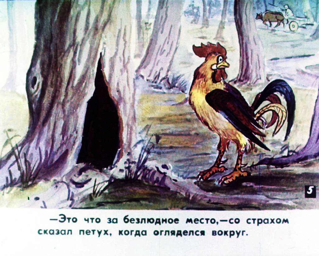 Кадр 6 диафильма «Прогулка Кукареку. Часть 1»