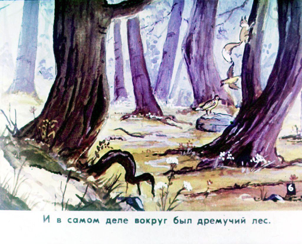 Кадр 7 диафильма «Прогулка Кукареку. Часть 1»