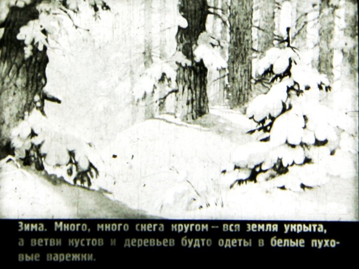 Кадр 2 диафильма «Медвежонок»