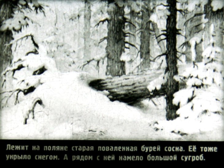 Кадр 3 диафильма «Медвежонок»