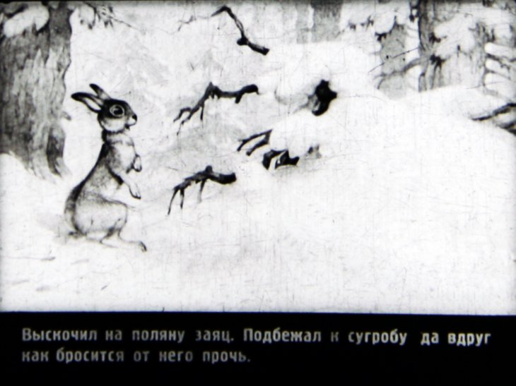 Кадр 4 диафильма «Медвежонок»