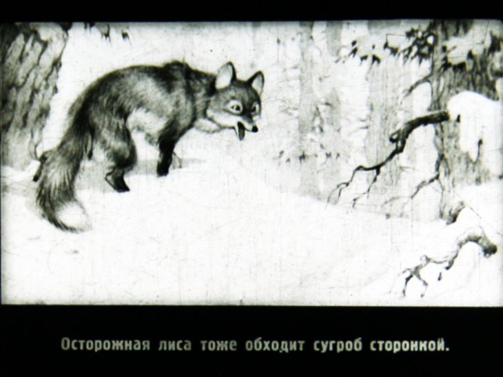Кадр 5 диафильма «Медвежонок»