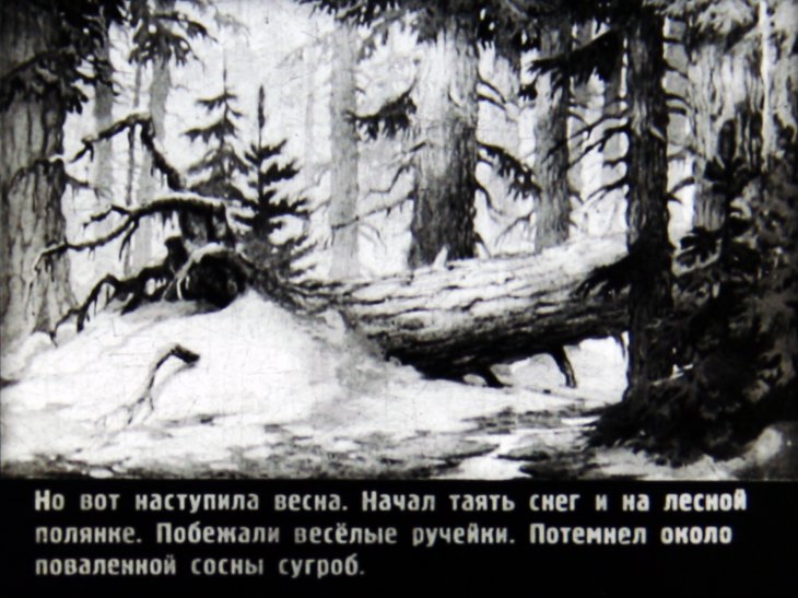 Кадр 7 диафильма «Медвежонок»