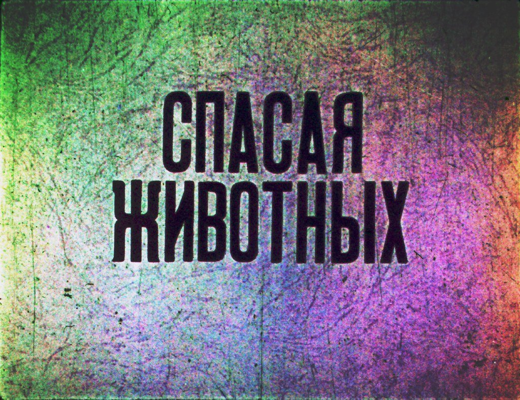 Кадр 1 диафильма «Спасая животных»