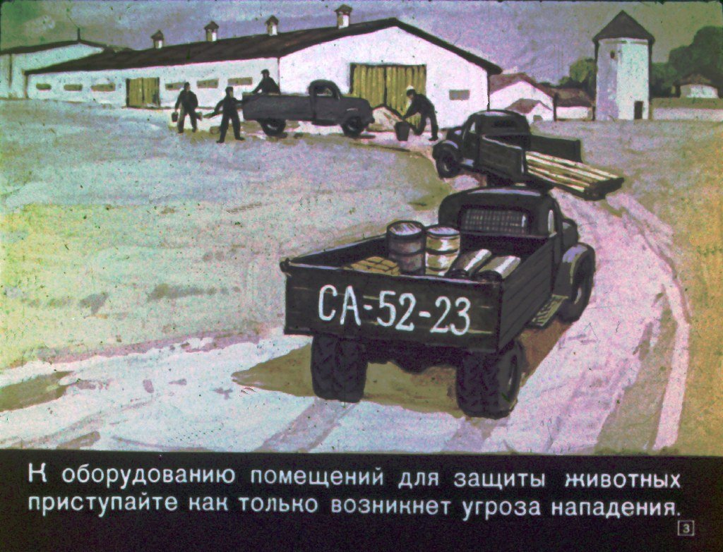Кадр 3 диафильма «Спасая животных»