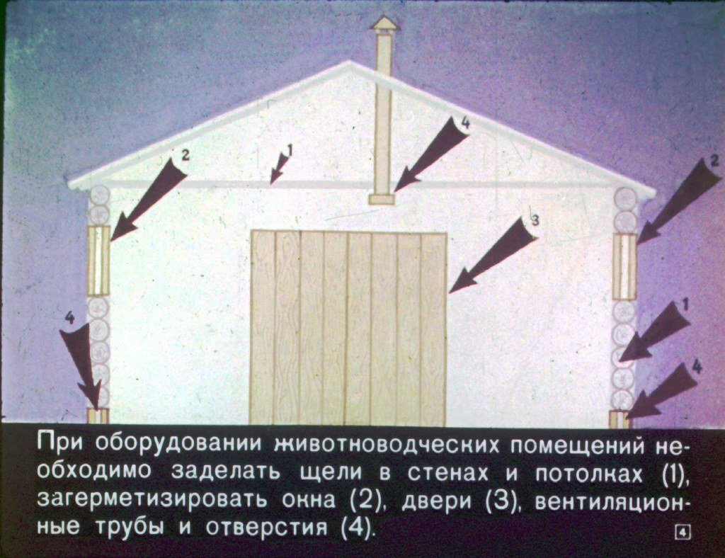 Кадр 4 диафильма «Спасая животных»