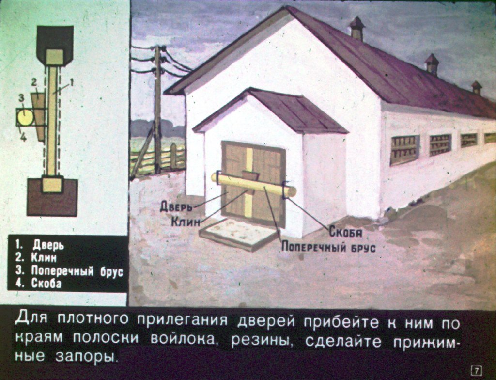 Кадр 7 диафильма «Спасая животных»