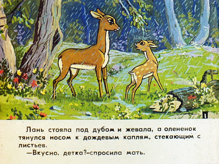 Кадр 3 диафильма «Сирота. Часть 1»