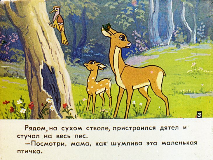 Кадр 5 диафильма «Сирота. Часть 1»