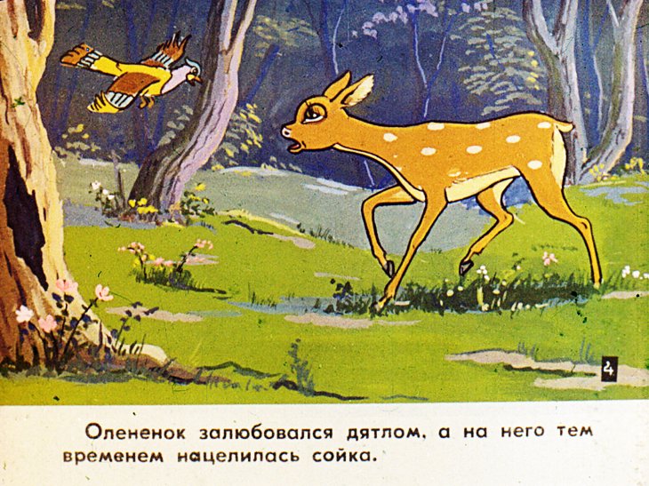 Кадр 6 диафильма «Сирота. Часть 1»