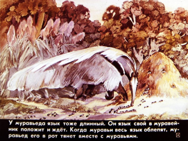 Кадр 4 диафильма «Кто мертвый кусается»