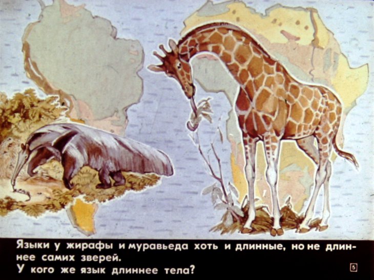Кадр 5 диафильма «Кто мертвый кусается»