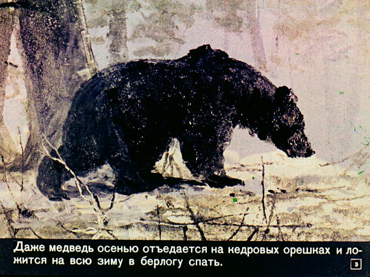 Кадр 3 диафильма «Черничное варенье»