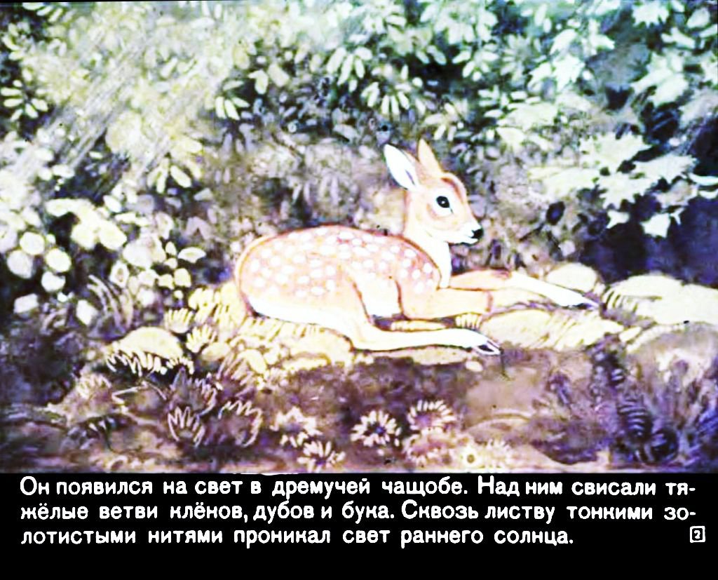 Кадр 2 диафильма «Бемби»