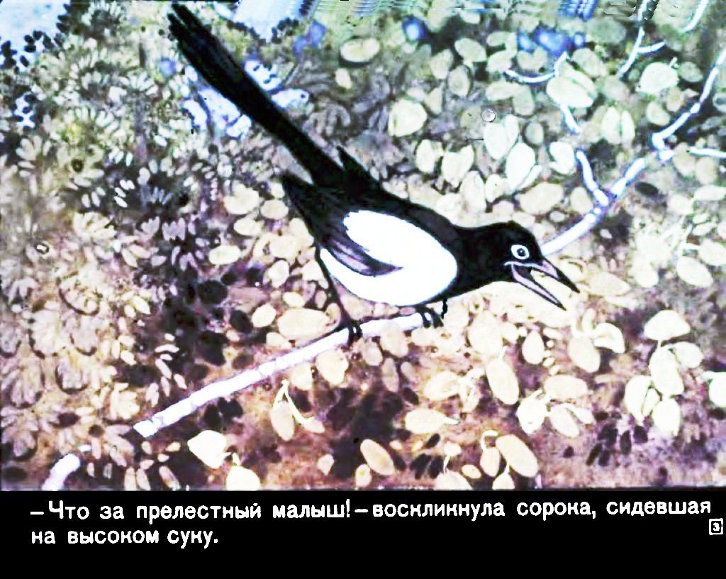 Кадр 3 диафильма «Бемби»