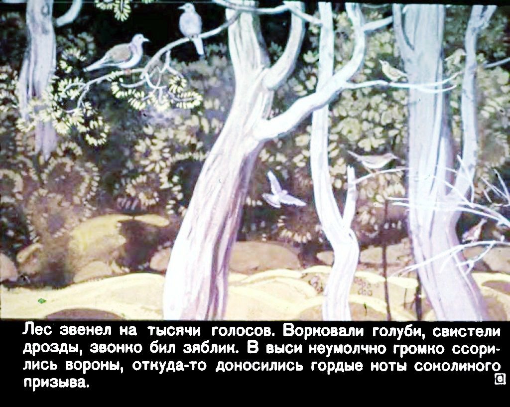 Кадр 6 диафильма «Бемби»