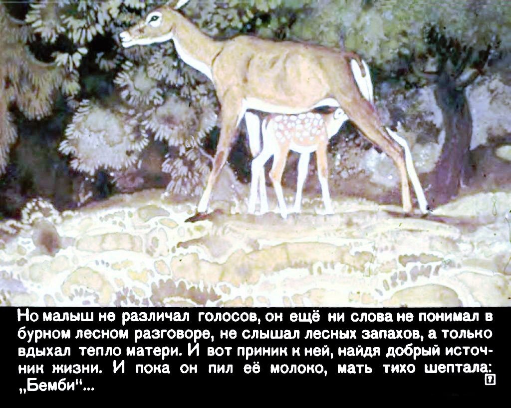 Кадр 7 диафильма «Бемби»