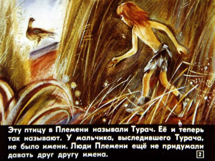 Кадр 2 диафильма «Глаза ночи»