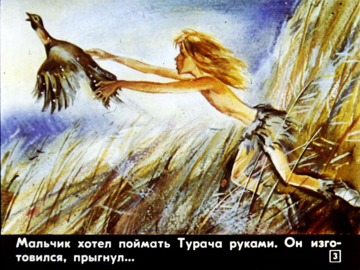 Кадр 3 диафильма «Глаза ночи»