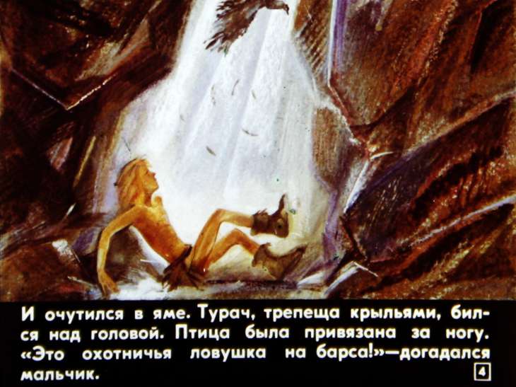 Кадр 4 диафильма «Глаза ночи»
