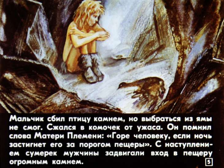 Кадр 5 диафильма «Глаза ночи»