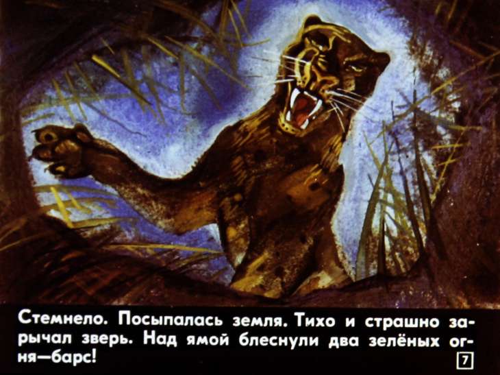Кадр 7 диафильма «Глаза ночи»