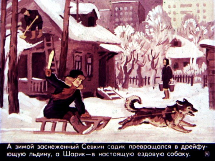 Кадр 5 диафильма «Севка меняет квартиру»