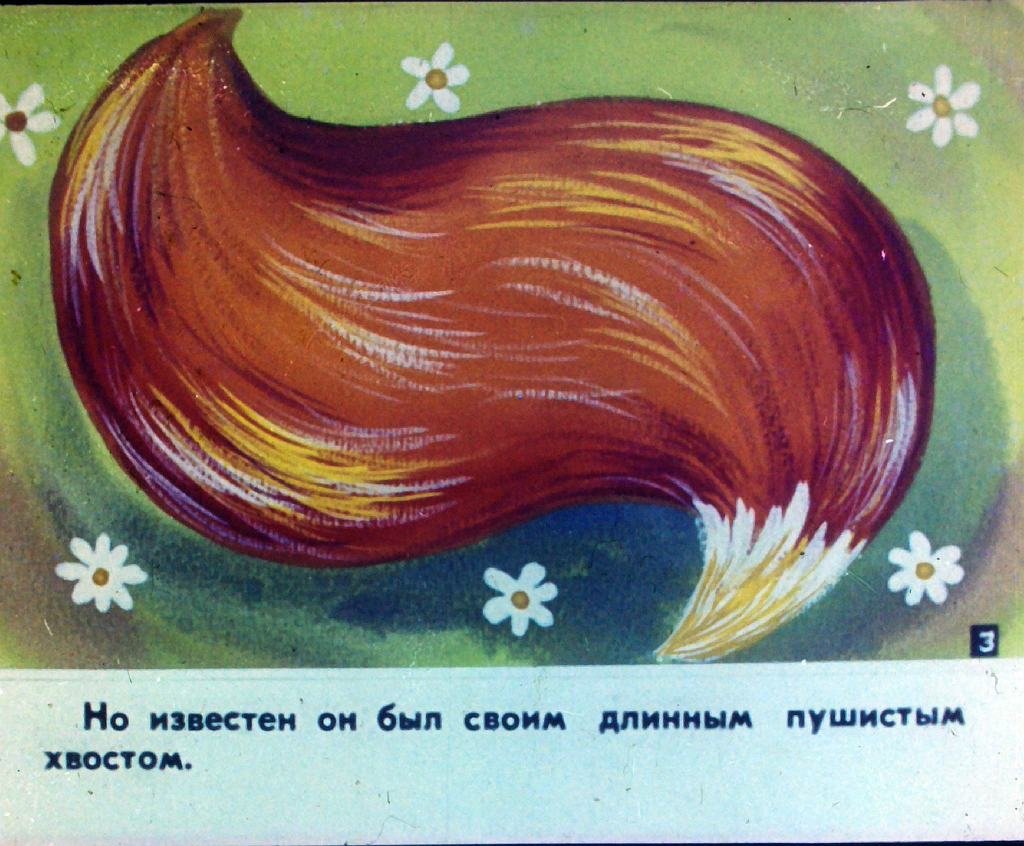 Кадр 5 диафильма «Длиннохвостый лис»