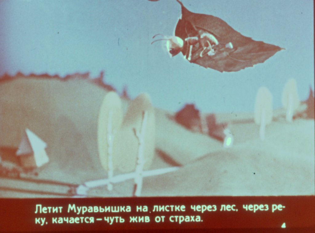 Кадр 4 диафильма «Как муравьишка домой спешил»