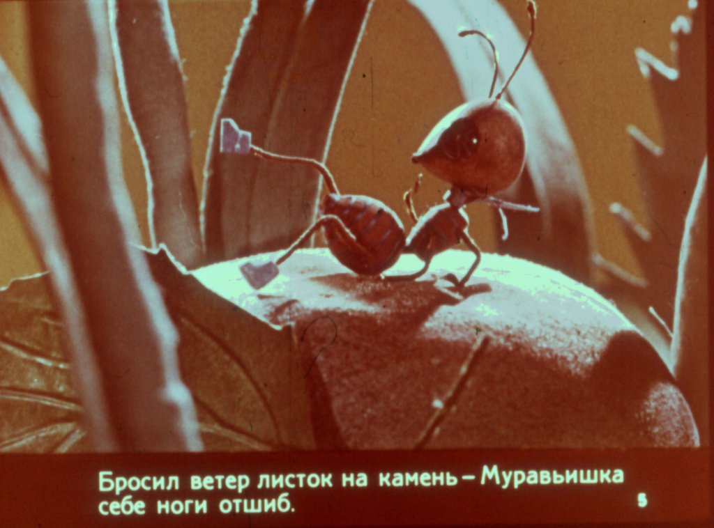 Кадр 5 диафильма «Как муравьишка домой спешил»