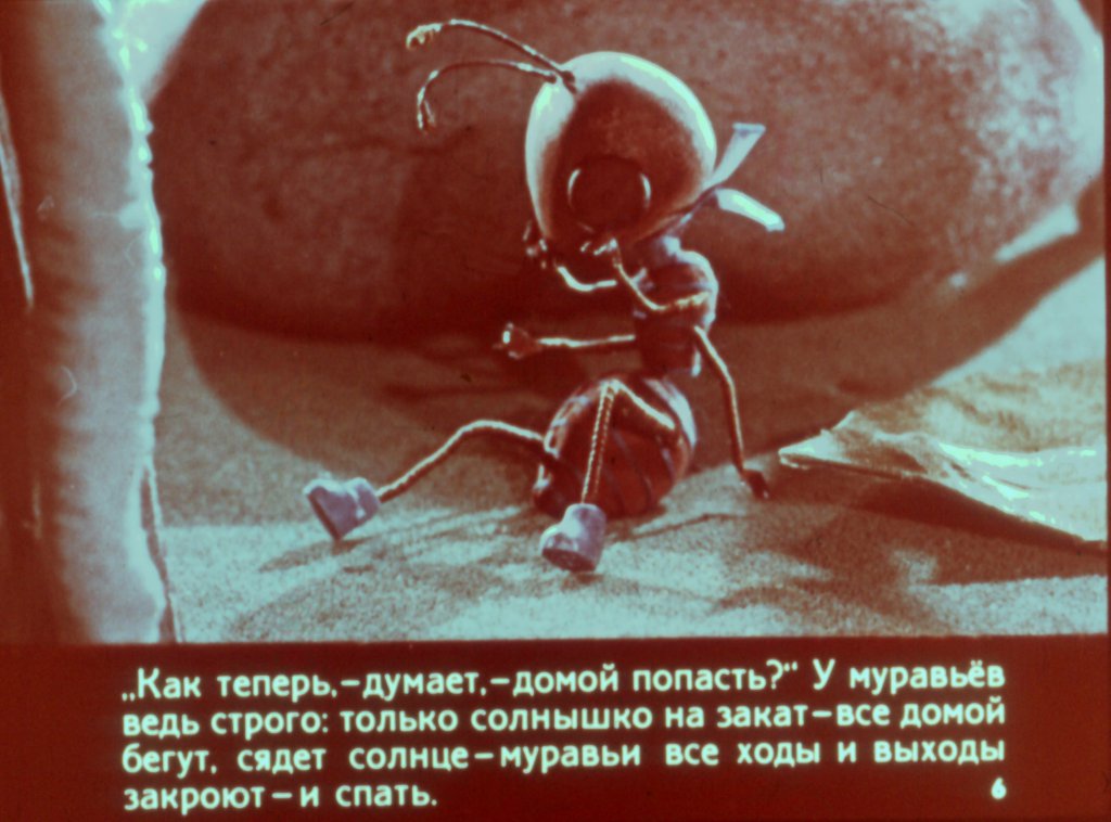 Кадр 6 диафильма «Как муравьишка домой спешил»