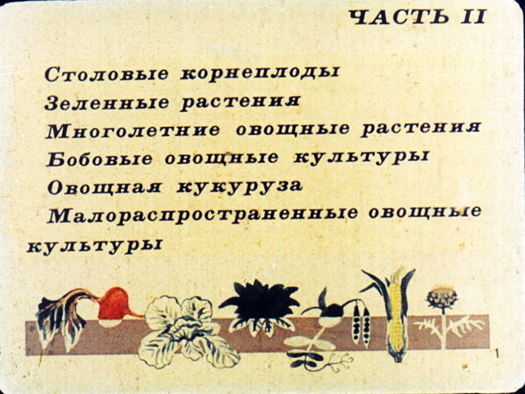 Кадр 2 диафильма «Сорта овощных культур. Часть 2»