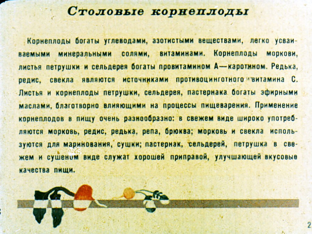 Кадр 3 диафильма «Сорта овощных культур. Часть 2»