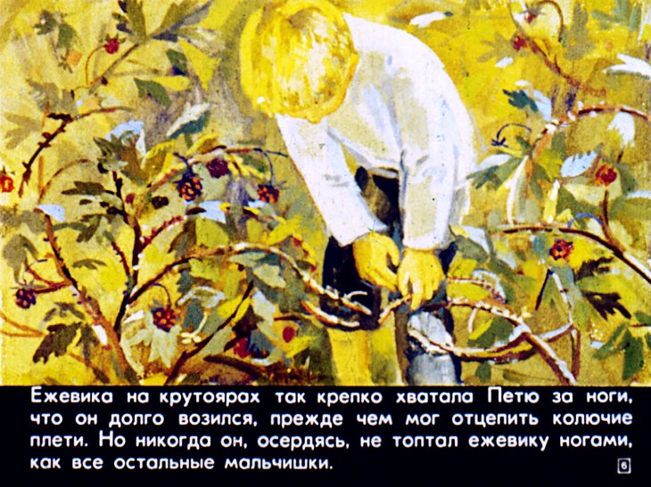 Кадр 6 диафильма «Дремучий медведь»