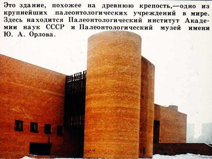 Кадр 2 диафильма «Встреча с Динозавром»