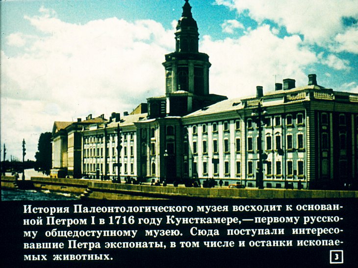 Кадр 3 диафильма «Встреча с Динозавром»