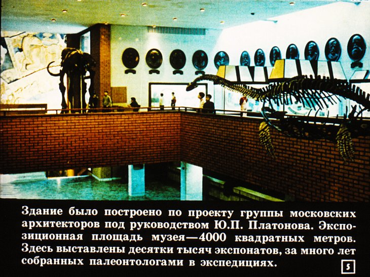 Кадр 5 диафильма «Встреча с Динозавром»
