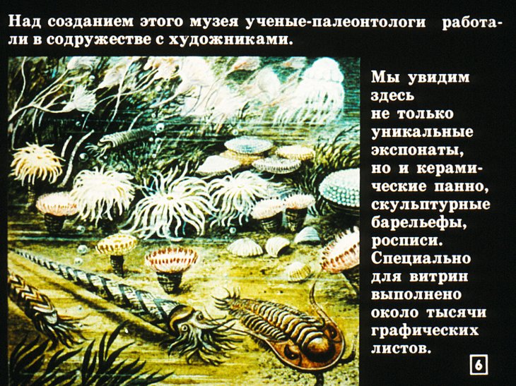 Кадр 6 диафильма «Встреча с Динозавром»